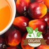 Palm Oil Organic