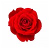Rose Floral Wax – Bulgarian
