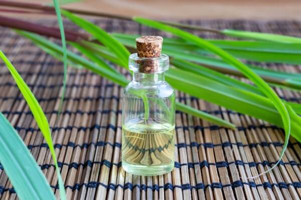 A bottle of lemon grass essential oil with fresh lemon grass
