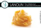 Lanolin - The Unlikely but Underrated Moisturizer