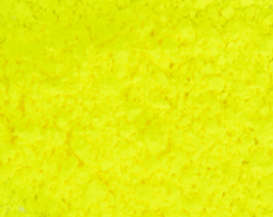 Neon Yellow Electric Slide