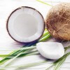 AMTicide Coconut